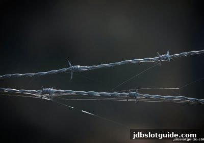 滚球盘平台挑选攻略：jdb电子游戏官网带你四步锁定靠谱环境