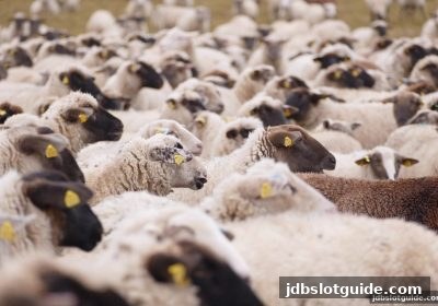jdb电子游戏官网电竞攻略：战队数据与竞技状态的深度洞察